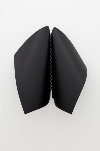 doble curva_web